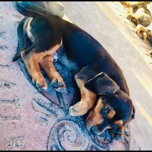 Meet your Posher, Bradon